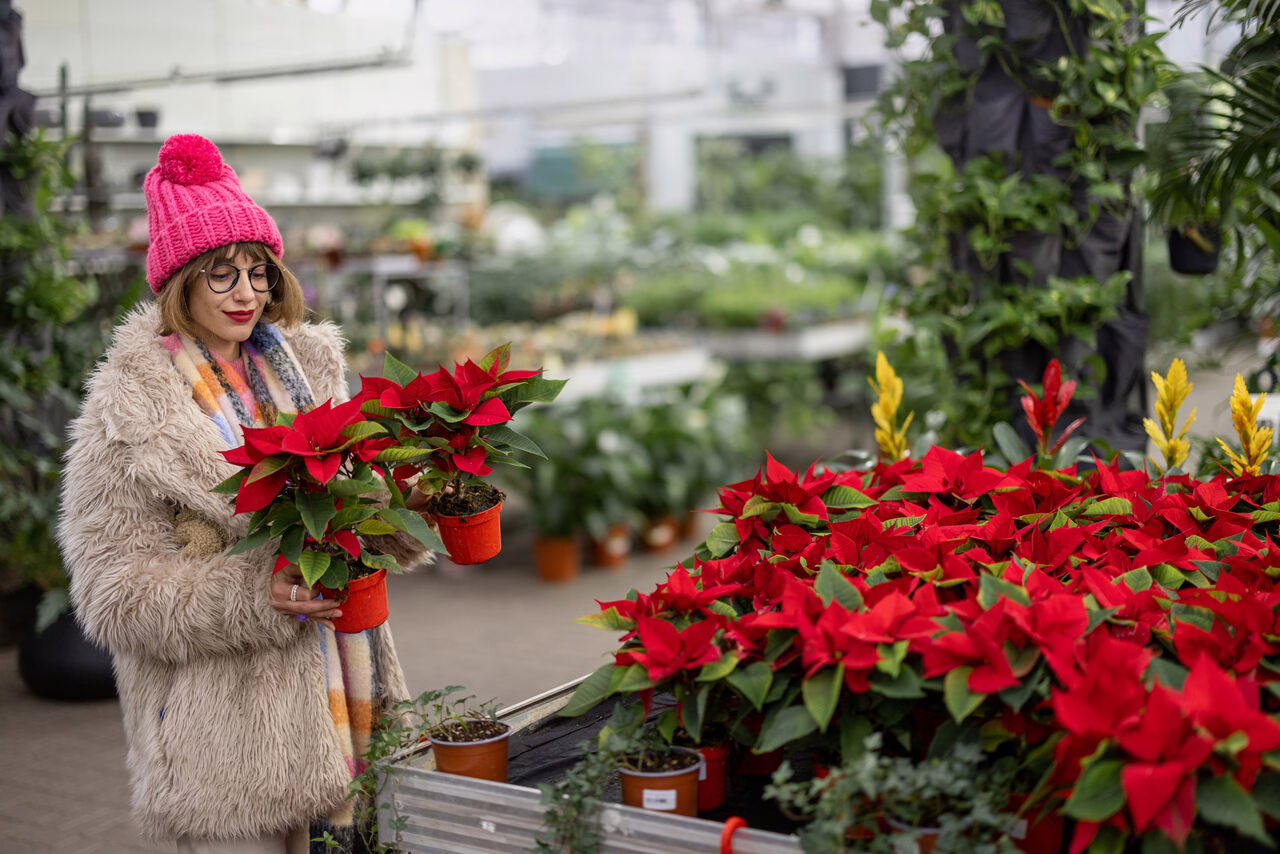 woman-shopping-plants-at-open-air-market-during-wi-2025-03-14-13-45-17-utc_easy-resize.com